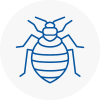 Bed Bug Extermination In Irthlingborough